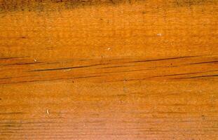 Abstract closeup of the wooden texture photo