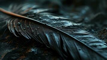 AI generated Black Feather with Water Droplets in Macro Detail photo
