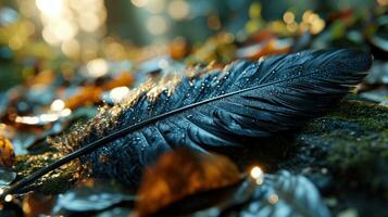 ai generado rociado pluma en bosque piso con dorado ligero bokeh foto