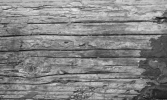 Abstract closeup of the wooden texture photo