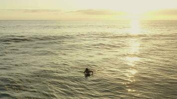 Mann auf Surfbrett warten zum Welle im das Meer beim Sonnenuntergang video