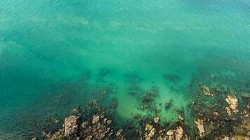 Serene Turquoise Seashore Aerial View photo