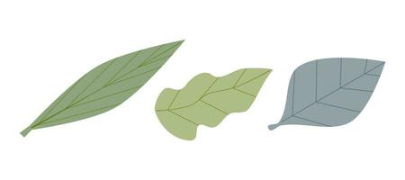 Set of leaf vector illustration in pastel color isolated on white background. Aesthetic vibes.