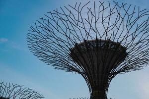 Supertree in Gardens By The Bay photo