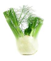 fennel on white photo