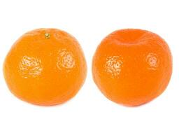 mandarins on white photo