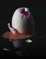 Fresco roto huevo con yema de huevo pega fuera en negro antecedentes foto