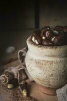 shell shaped chocolates with cream in a clay jar photo