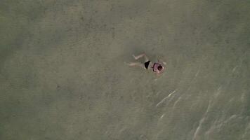 Solitary Swim in Crystal Waters video