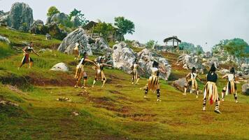 une groupe de femelle chevaliers dans d'or costumes pratiquant martial les arts avec leur copains sur une vert colline video