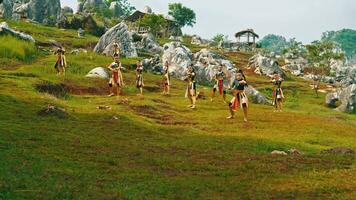 uma grupo do fêmea cavaleiros dentro dourado fantasias praticando marcial artes com seus amigos em uma verde Colina video