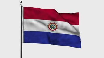 Paraguay looped flag waving in the wind with colored chroma key on transparent background remove, cycle seamless loop video