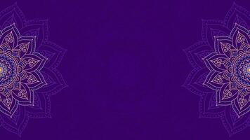 Celestial Orchid Radiance Of Animated Luxurious Mandala Lines and Patterns Horizontal Looping Animation Blank Video Background