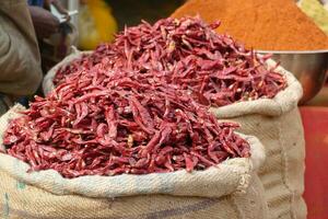 Chilies and spices in market of  Udaipur photo