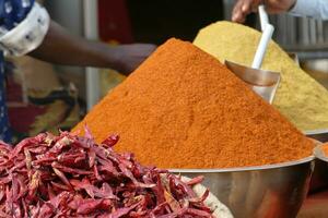 Chilies and spices in market of  Udaipur photo