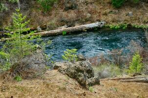 Headwaters of the Metolius River photo