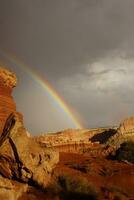 Rainbow and brief dramatic sunshine photo