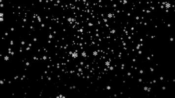 snow particles lopp animation video