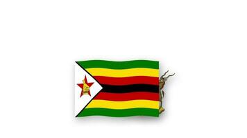 Zimbabwe animated video raising the flag and Emblem, introduction of the name country high Resolution.