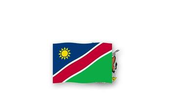 Namibia animado vídeo levantamiento el bandera y emblema, Introducción de el nombre país alto resolución. video