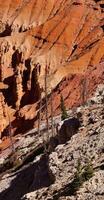 detalle, pináculos y hoodoos de rojo navajo arenisca foto