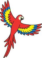 Parrot icon. Cartoon parrot vector icon for web design isolated on white background