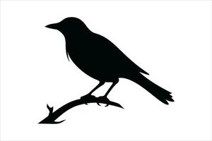 crow sitting vector silhouette isolated  VectorPrint