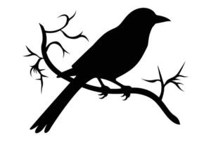 crow sitting vector silhouette isolated  VectorPrint