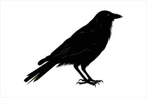 crow sitting vector silhouette isolated  VectorPrint