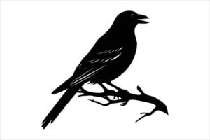 crow sitting vector silhouette isolated  VectorPrint