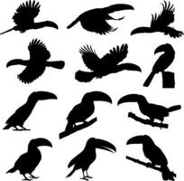 animal bird toucan silhouettes set vector