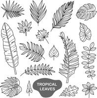 tropical leaves doodle illustration vector