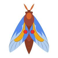 vistoso mariposa icono logo aislado. hermosa mariposa ilustración vector