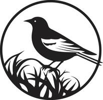 nido vector pájaro icónico emblema aviar arte negro nido logo diseño