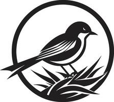 pájaro s refugio vector nido logo pajarera constructor negro pájaro icono