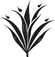 orgánico serenidad negro áloe vector logo naturaleza s armonía áloe negro emblema