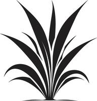 Green Harmony Black Vector Aloe Emblem Aloe Essence Vector Black Plant Icon