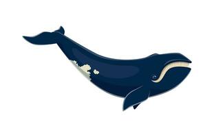 Blue whale character, largest animal on earth vector