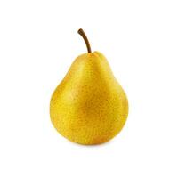 Realistic raw yellow pear isolated whole fruit vector