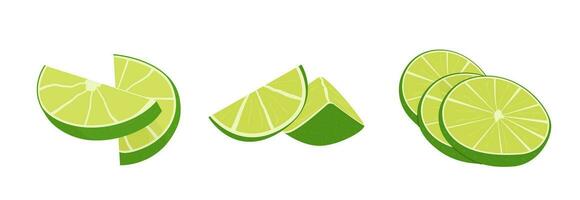 Vector flat style set of lime. Whole key lime, sliced, cutted in half and citrus wedges. Composition of fruit slices. Delicious juicy citron for cocktails.