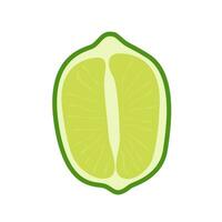 Vector flat style set of lime. Whole key lime, sliced, cutted in half and citrus wedges. Composition of fruit slices. Delicious juicy citron for cocktails.