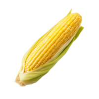 AI generated Corn on the Cob on transparent background PNG image