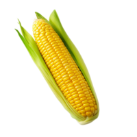 AI generated Corn on the Cob on transparent background PNG image