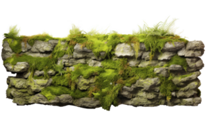 AI generated Old Stone Wall Covered in Moss Isolated on Background png