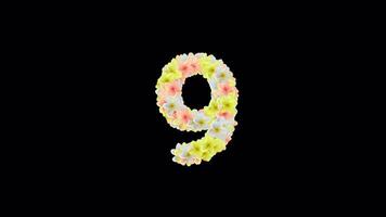 Charming Spring Countdown from Ten to Zero Floral Animation video