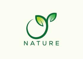 Green leaf logo design vector template. Nature Growth Leaf vector logo.