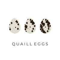 Quail egg vector illustration logo