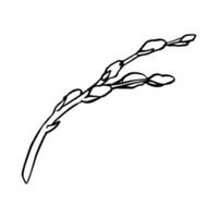 Black contour linear silhouette willow branches isolated on white background. Vector simple line graphic illustration spring plants. simple drawing plant element for the design