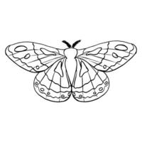 Black contour linear silhouette moth isolated on white background. Vector simple flat graphic illustration imperial night butterfly. A simple line hand drawing insect for the design