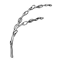 Black contour linear silhouette willow branches isolated on white background. Vector simple line graphic illustration spring plants. simple drawing plant element for the design